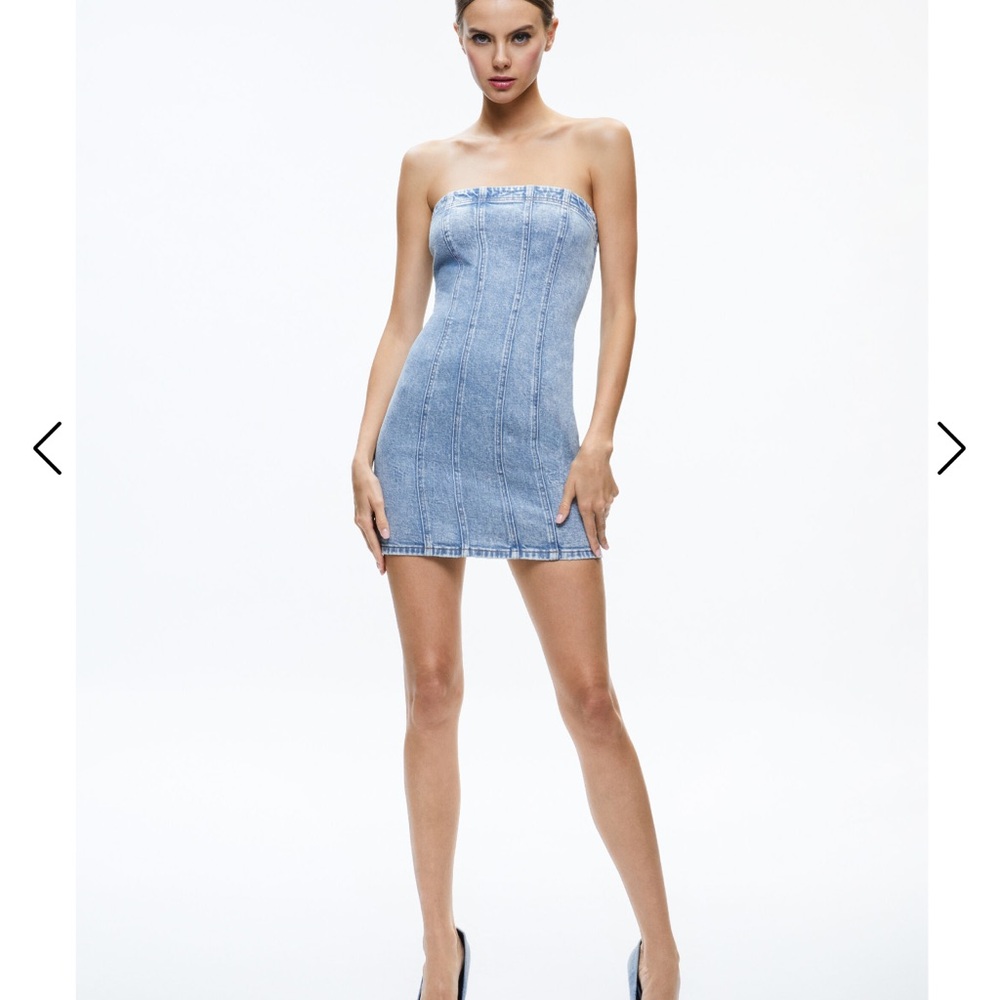 Alice + Olivia Palmer Denim Mini Dress